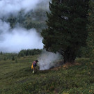 1cffd1cc-6f26-492e-92c5-f229ccf0d1f9.jpg