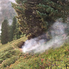 pic-4.jpg