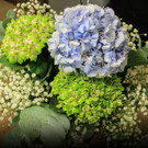 IMG_1759_jpg-1537021362.jpg