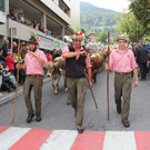 Großer Alpabtrieb von vier Alpen