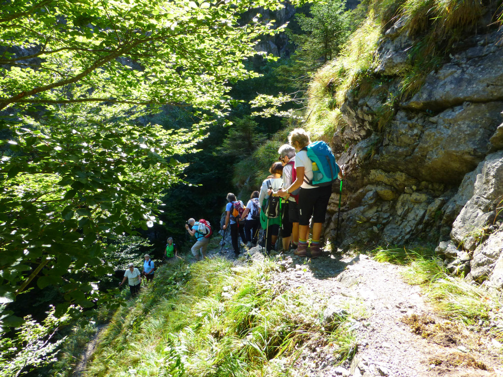 P1090661.JPG