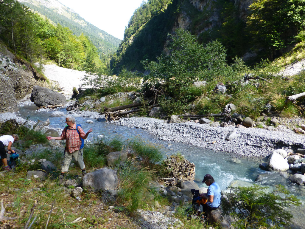 P1090684.JPG