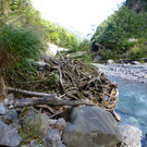P1090687.JPG