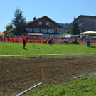 DSC_1142.JPG