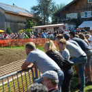 DSC_1155.JPG