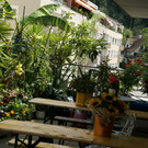 Bregenz J__rg G DSC01803.JPG