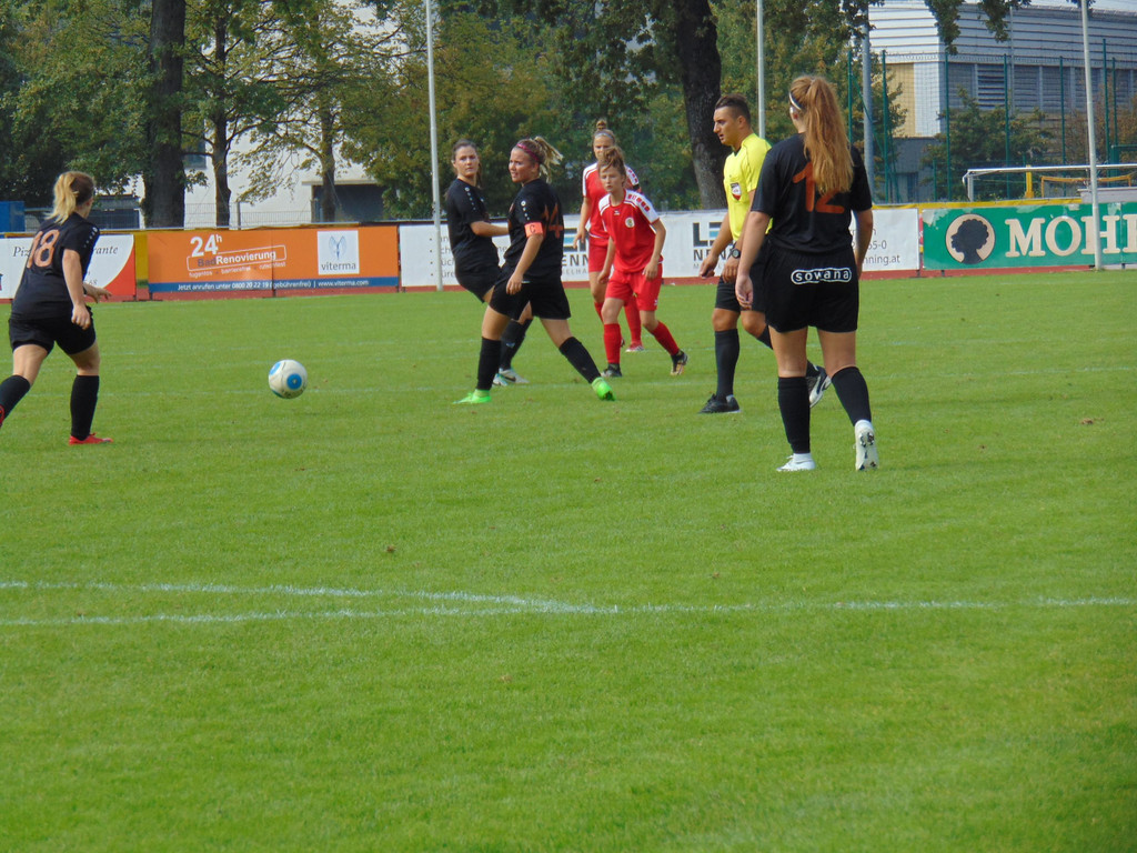 DSC08028.JPG