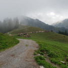 PEVP0181.JPG