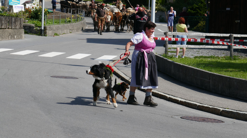 P1060094.JPG