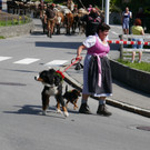 P1060094.JPG