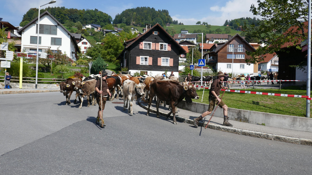 P1060100.JPG