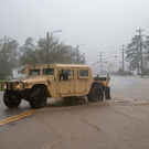 AFP_195755.jpg