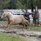 Tropical_Weather_North_Carolina_83902.jpg