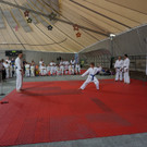Er__ffnungsshow Karate.jpg