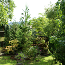 Bregenz Unger G DSC01799.JPG