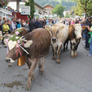 IMG_8045.JPG