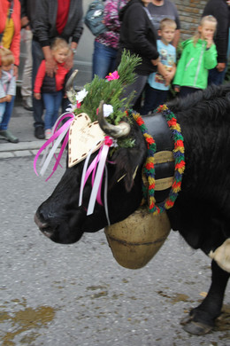 IMG_8047.JPG