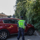 20180917_fmt_grenzkontrollen_saalachbruecke_mw-16.jpg