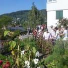 Truthahn Marte  4.jpg