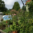 Bregenz Wagner G DSC01794.JPG