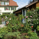 Bregenz Wagner G DSC01795.JPG