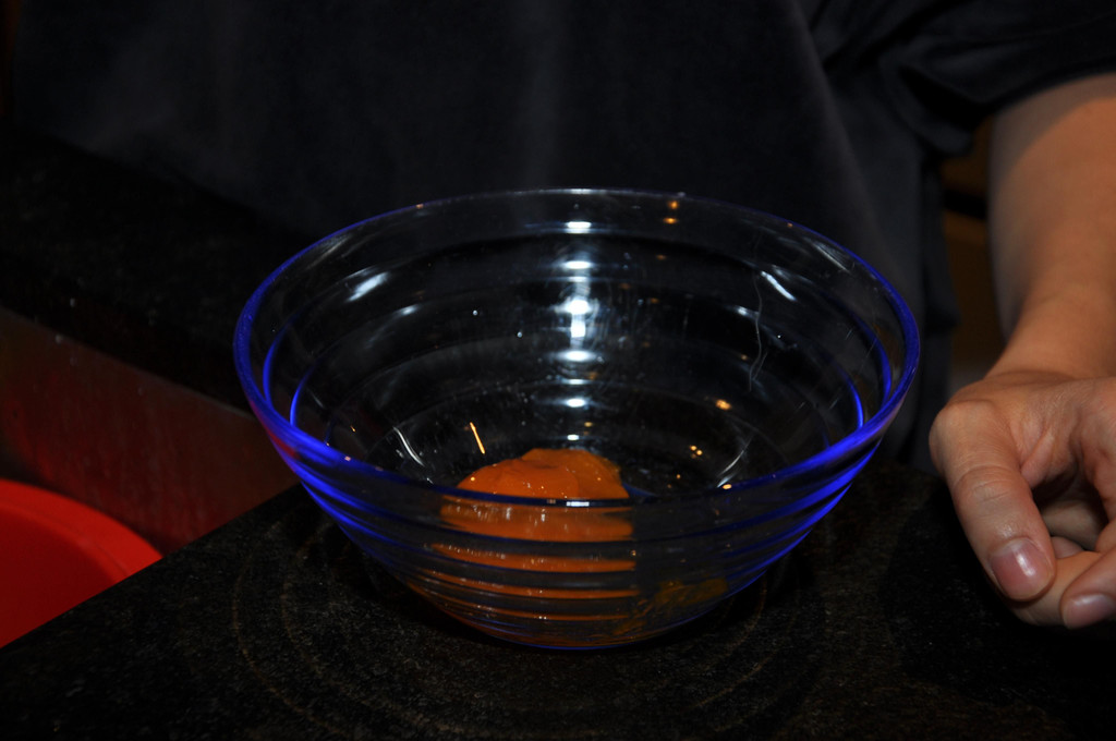 DSC_0471.JPG