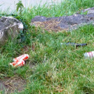 Abfall18091801.jpg