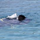 16-IMG_3241.jpg