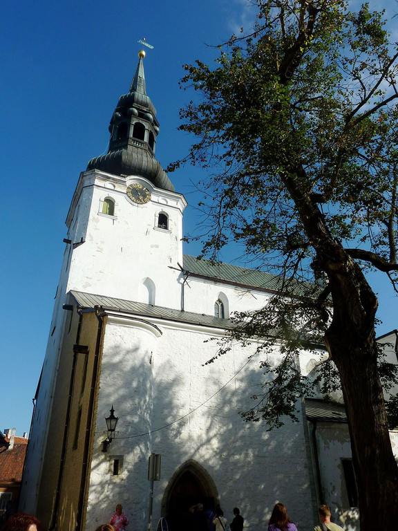 P1100699.JPG