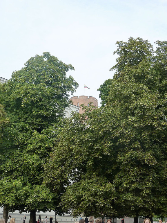 P1100935.JPG