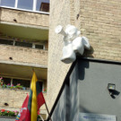 P1100967.JPG