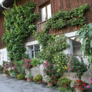 Dornbirn Mayer G DSC01917.JPG