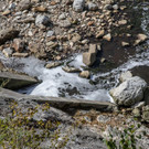 20180919_fmt_umwelteinsatz_saalach_mw-1.jpg