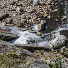 Umwelteinsatz an der Saalach
