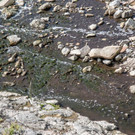 20180919_fmt_umwelteinsatz_saalach_mw-4.jpg