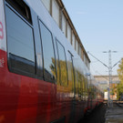 IMG_8225.JPG