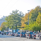 Red20i18015.jpg