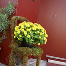 Hard Beneder G DSC01854.JPG