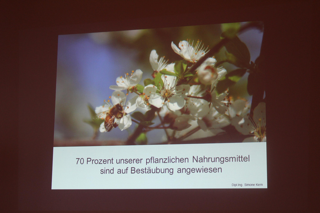 IMG_7266b.JPG