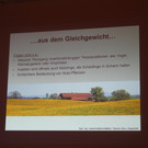 IMG_7273.JPG
