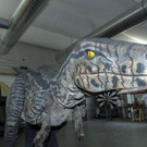 Dinos-Raptor1_jpg.jpg