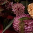P1040312_00_02_51_14_Standbild013.jpg