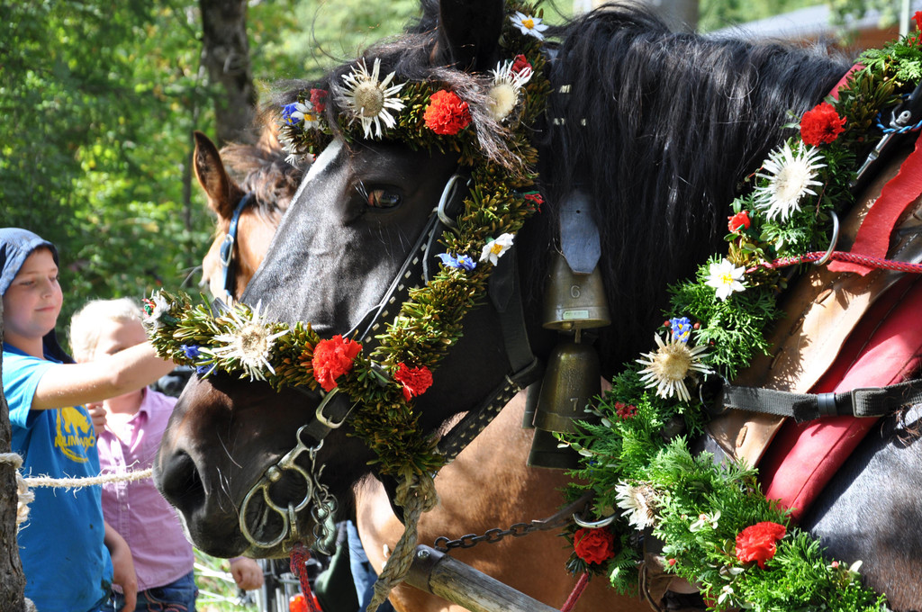 DSC_0694.JPG