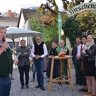 Erntedankmarkt Bludenz 2018 _3_.jpg