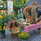Erntedankmarkt Bludenz 2018 _29_.jpg