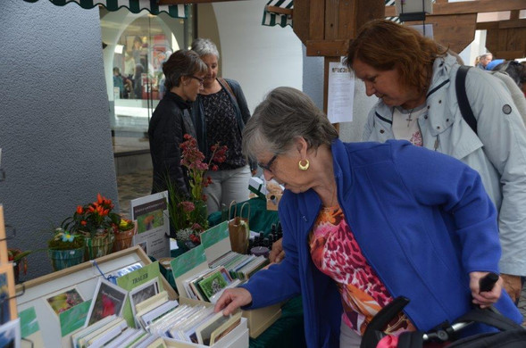 Erntedankmarkt Bludenz 2018 _43_.jpg
