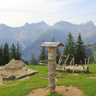 IMG_5174.JPG