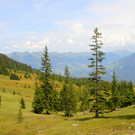 IMG_5187.JPG