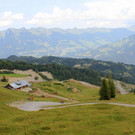 IMG_5203.JPG