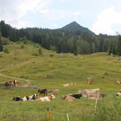 IMG_5211.JPG